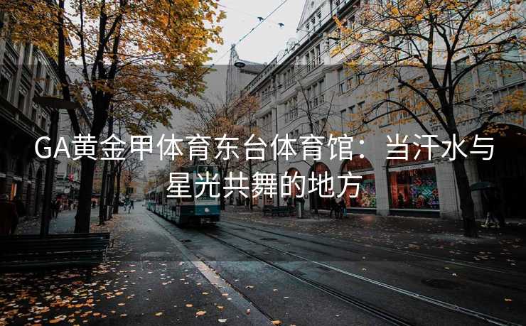 GA黄金甲体育东台体育馆：当汗水与星光共舞的地方